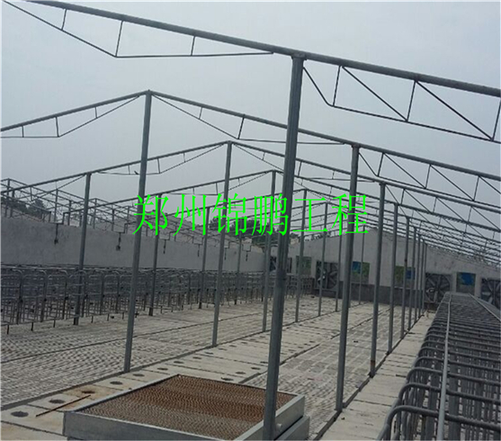 隆豐養(yǎng)殖現(xiàn)場(chǎng)